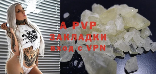 стаф Нея