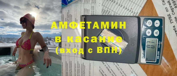 стаф Нея