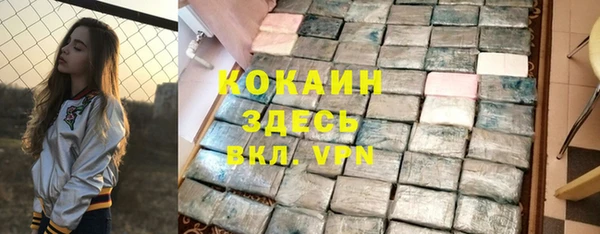 стаф Нея